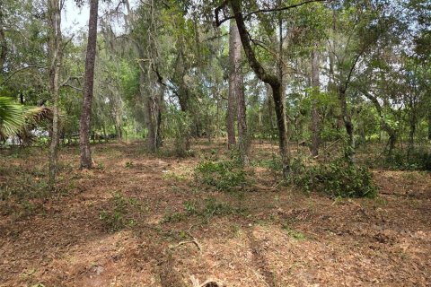 Terreno en venta en Hawthorne, Florida № 1657066 - foto 9