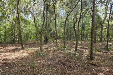 Terreno en venta en Hawthorne, Florida № 1657066 - foto 12