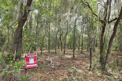 Terreno en venta en Hawthorne, Florida № 1657066 - foto 14