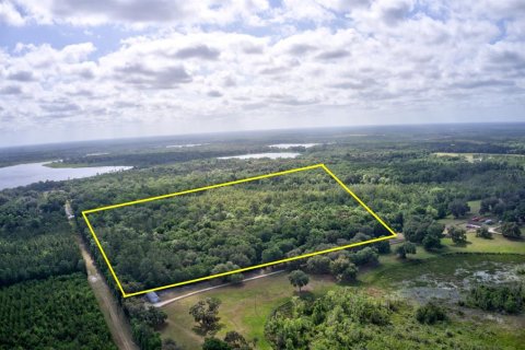 Land in Hawthorne, Florida № 1657066 - photo 5