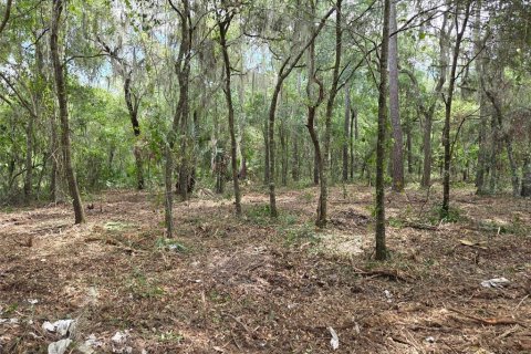 Terreno en venta en Hawthorne, Florida № 1657066 - foto 11