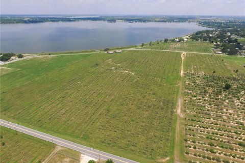 Land in Frostproof, Florida № 1554035 - photo 4