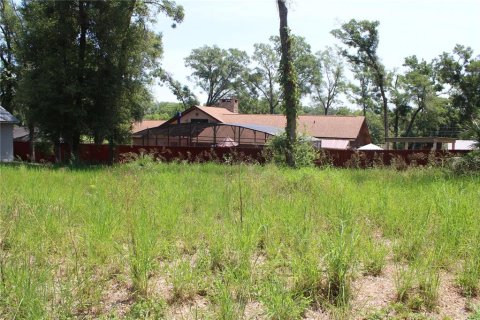 Terreno en venta en Sorrento, Florida № 1749587 - foto 8