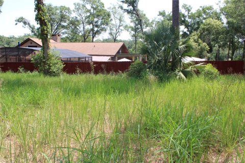 Terreno en venta en Sorrento, Florida № 1749587 - foto 2