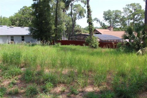 Terreno en venta en Sorrento, Florida № 1749587 - foto 7