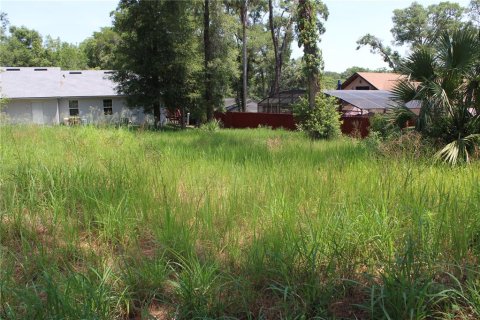 Terreno en venta en Sorrento, Florida № 1749587 - foto 4