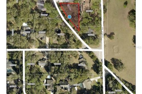 Terreno en venta en Sorrento, Florida № 1749587 - foto 3