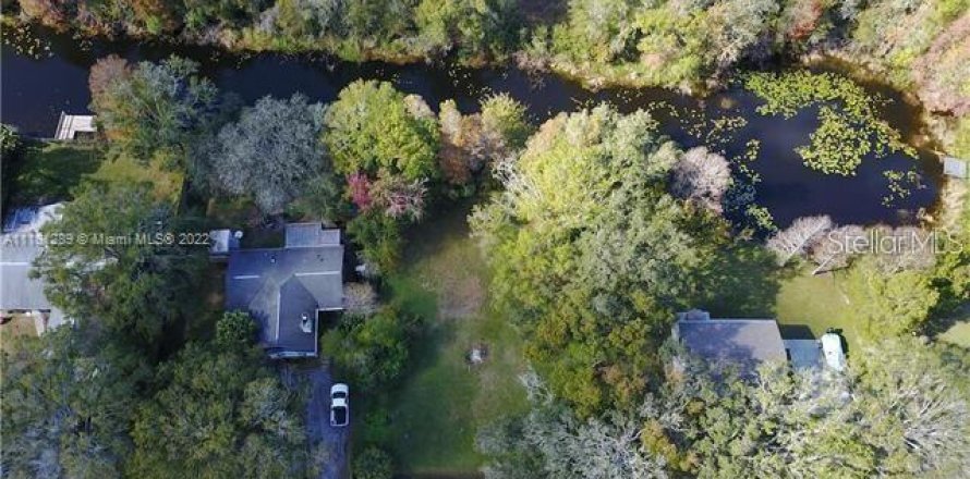 Terreno en Land O' Lakes, Florida № 1549210