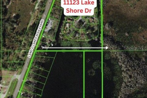 Terreno en venta en Land O' Lakes, Florida № 1549210 - foto 2