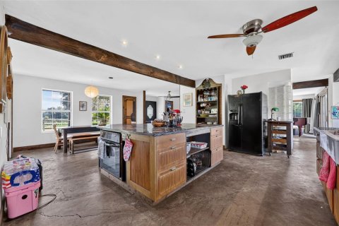 Villa ou maison à vendre à Fish Hawk, Floride: 4 chambres, 215.35 m2 № 2334264 - photo 28