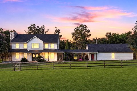 Villa ou maison à Fish Hawk, Floride 4 chambres, 215.35 m2 № 2334264