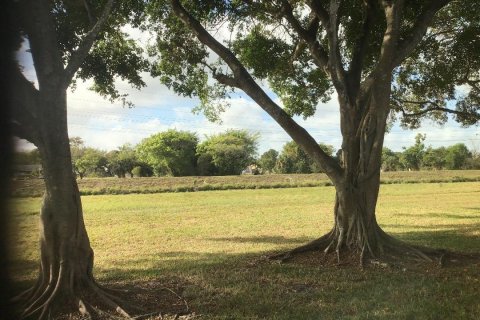 Condominio en venta en Margate, Florida, 1 dormitorio, 68.19 m2 № 2085654 - foto 27