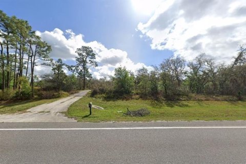 Terreno en venta en Polk City, Florida № 2235130 - foto 2