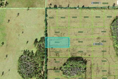 Terreno en Polk City, Florida № 2235130