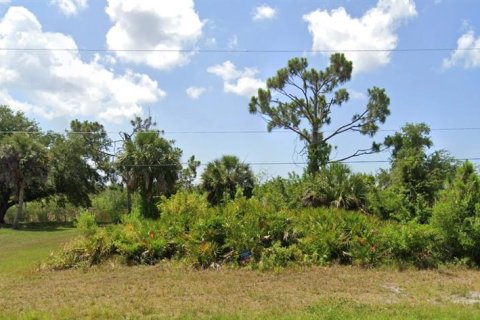 Terrain à Placida, Floride № 2097541