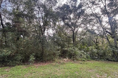 Land in Hawthorne, Florida № 2349276