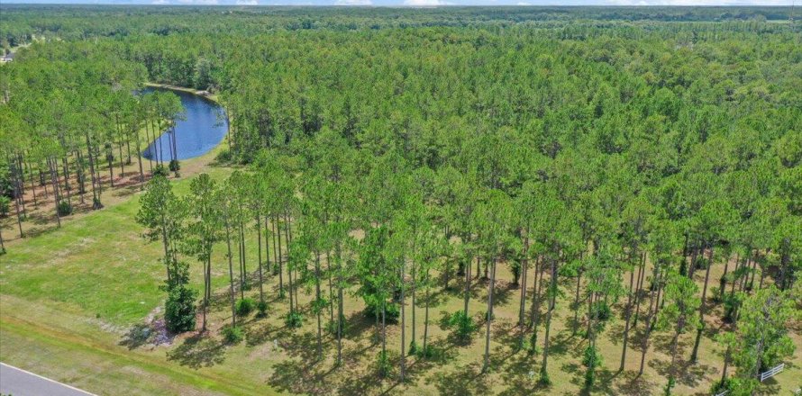 Terrain à Jacksonville, Floride № 769546