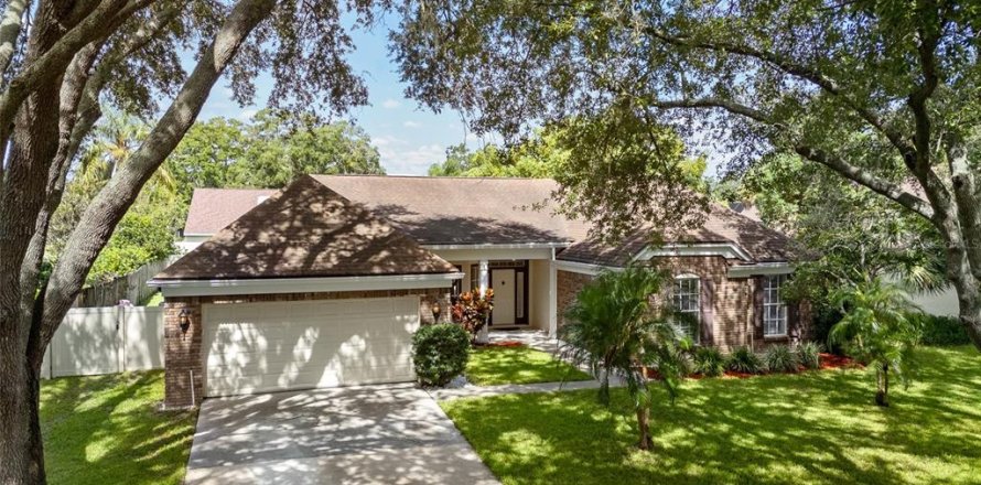 House in Odessa, Florida 4 bedrooms, 231.42 sq.m. № 1885039