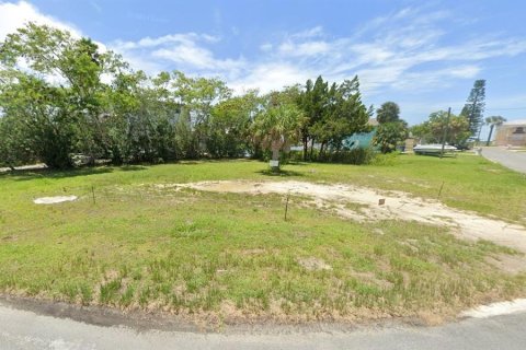 Terrain à vendre à Hernando Beach, Floride № 2203289 - photo 2