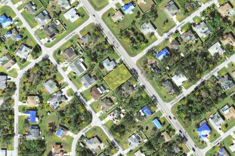Land in Port Charlotte, Florida № 2159091 - photo 2