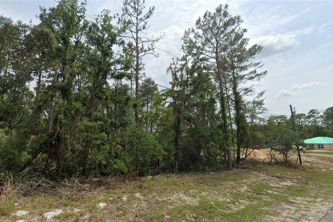 Land in Ocala, Florida № 2234620