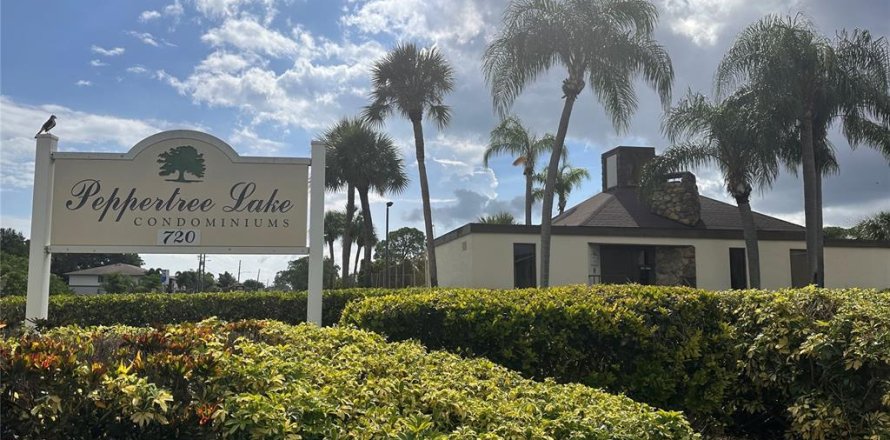 Condo à Saint Petersburg, Floride, 2 chambres № 1873504