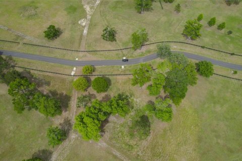 Terreno en venta en Ocala, Florida № 1796738 - foto 8