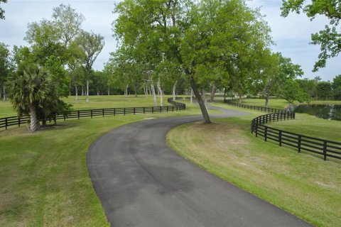 Terreno en venta en Ocala, Florida № 1796738 - foto 18