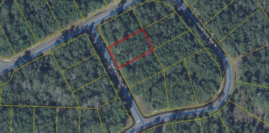 Land in Freeport, Florida № 558170