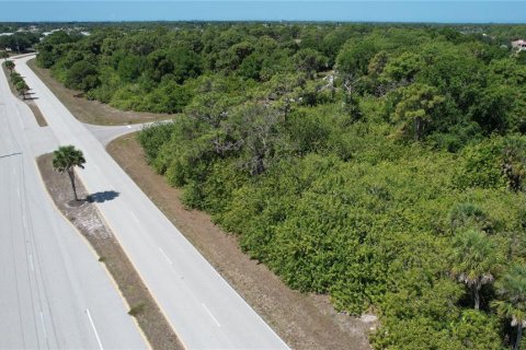 Land in Rotonda, Florida № 216397 - photo 5