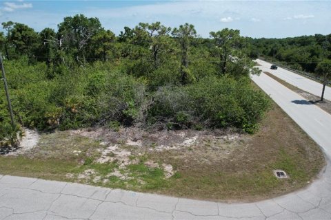 Land in Rotonda, Florida № 216397 - photo 2