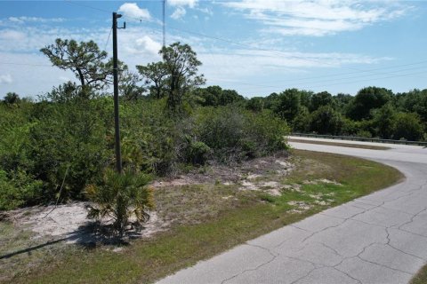 Land in Rotonda, Florida № 216397 - photo 3