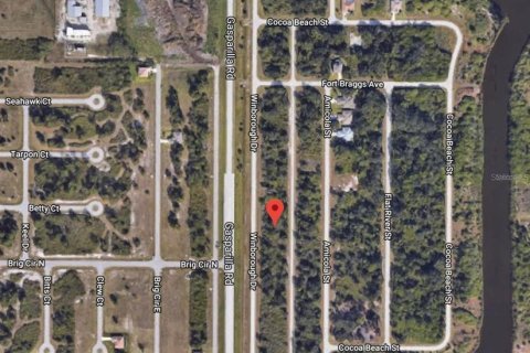 Land in Port Charlotte, Florida № 2205869 - photo 6