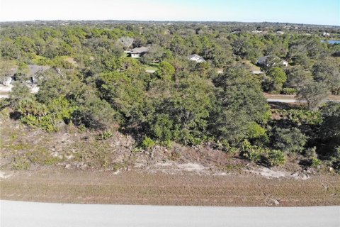 Land in Port Charlotte, Florida № 2205869 - photo 5