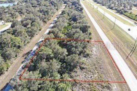 Land in Port Charlotte, Florida № 2205869 - photo 4
