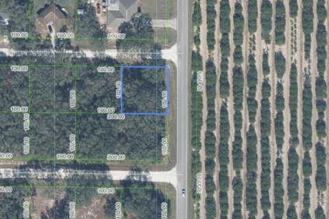 Land in Avon Park, Florida № 2361334