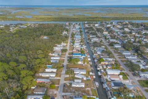 Terreno en venta en Edgewater, Florida № 2166530 - foto 10