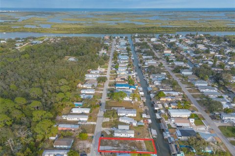 Terreno en venta en Edgewater, Florida № 2166530 - foto 11