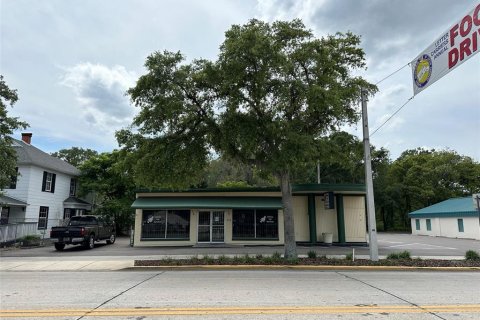 Immobilier commercial à DeLand, Floride 192.12 m2 № 2381049