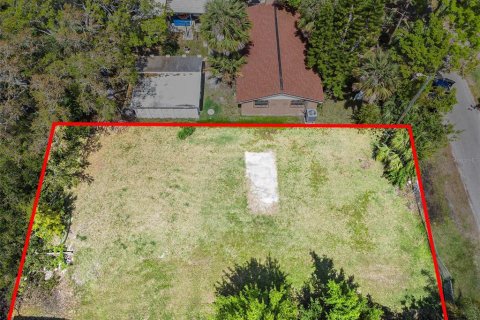Terreno en venta en Tampa, Florida № 1069613 - foto 5