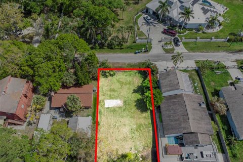 Terreno en venta en Tampa, Florida № 1069613 - foto 11