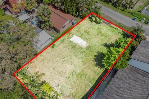 Terreno en venta en Tampa, Florida № 1069613 - foto 4