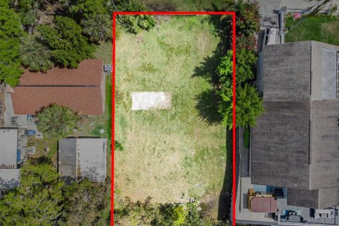 Terreno en venta en Tampa, Florida № 1069613 - foto 10