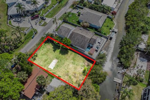 Terreno en venta en Tampa, Florida № 1069613 - foto 12