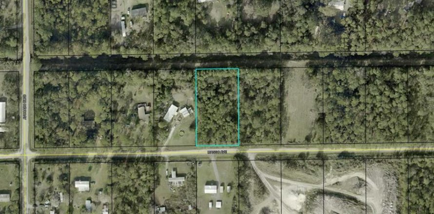 Land in Bunnell, Florida № 2224183