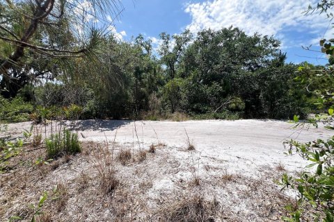 Land in North Port, Florida № 2158736 - photo 5