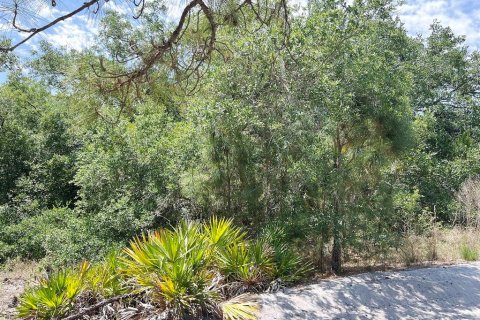 Land in North Port, Florida № 2158736 - photo 7