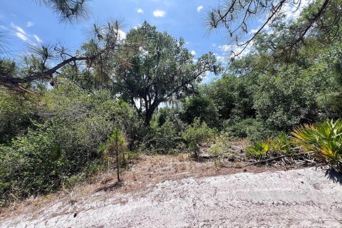 Land in North Port, Florida № 2158736 - photo 6