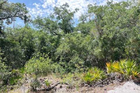 Land in North Port, Florida № 2158736 - photo 9