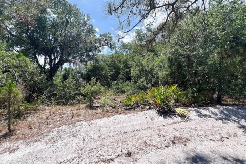 Land in North Port, Florida № 2158736 - photo 8